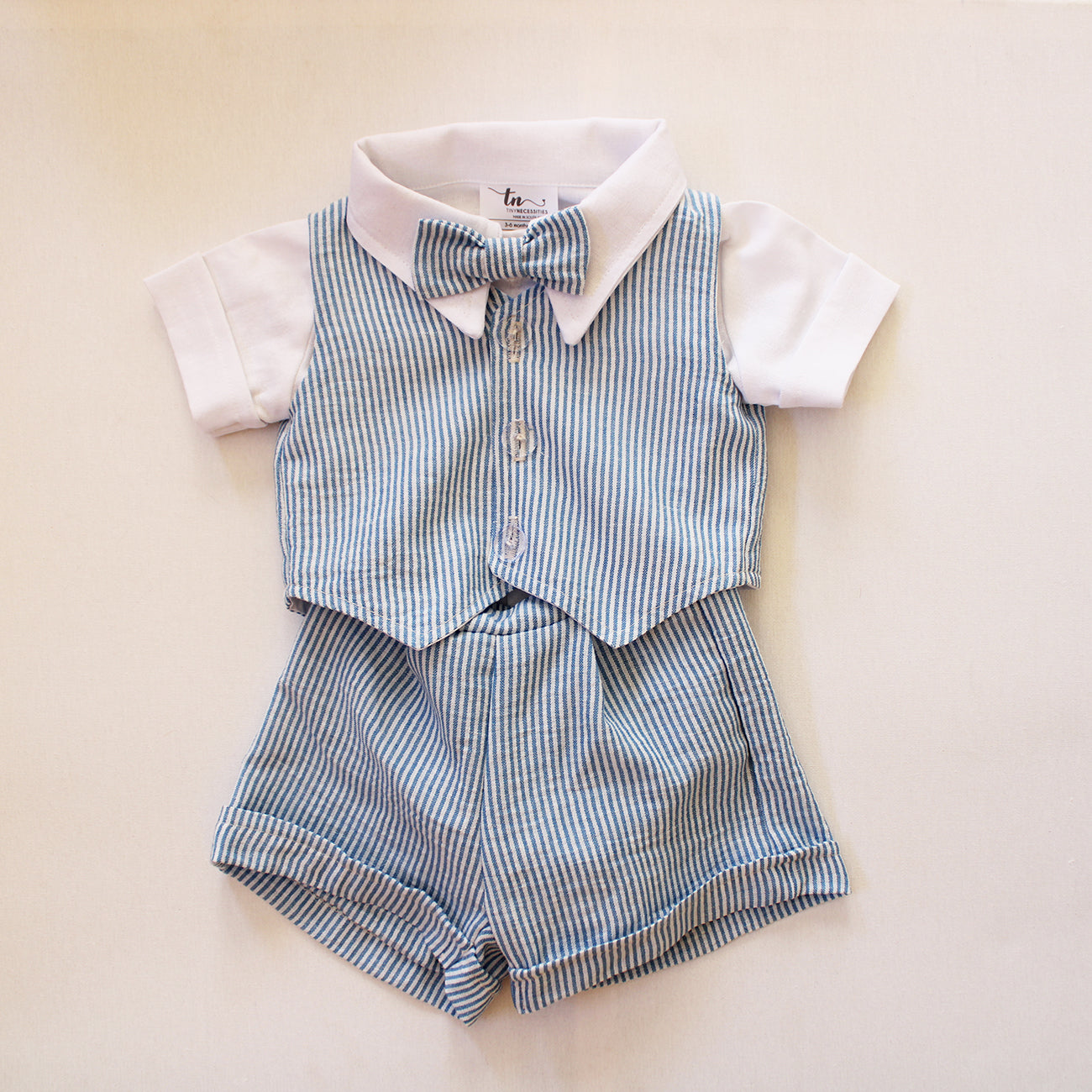 Blue Stripes Bow Tie