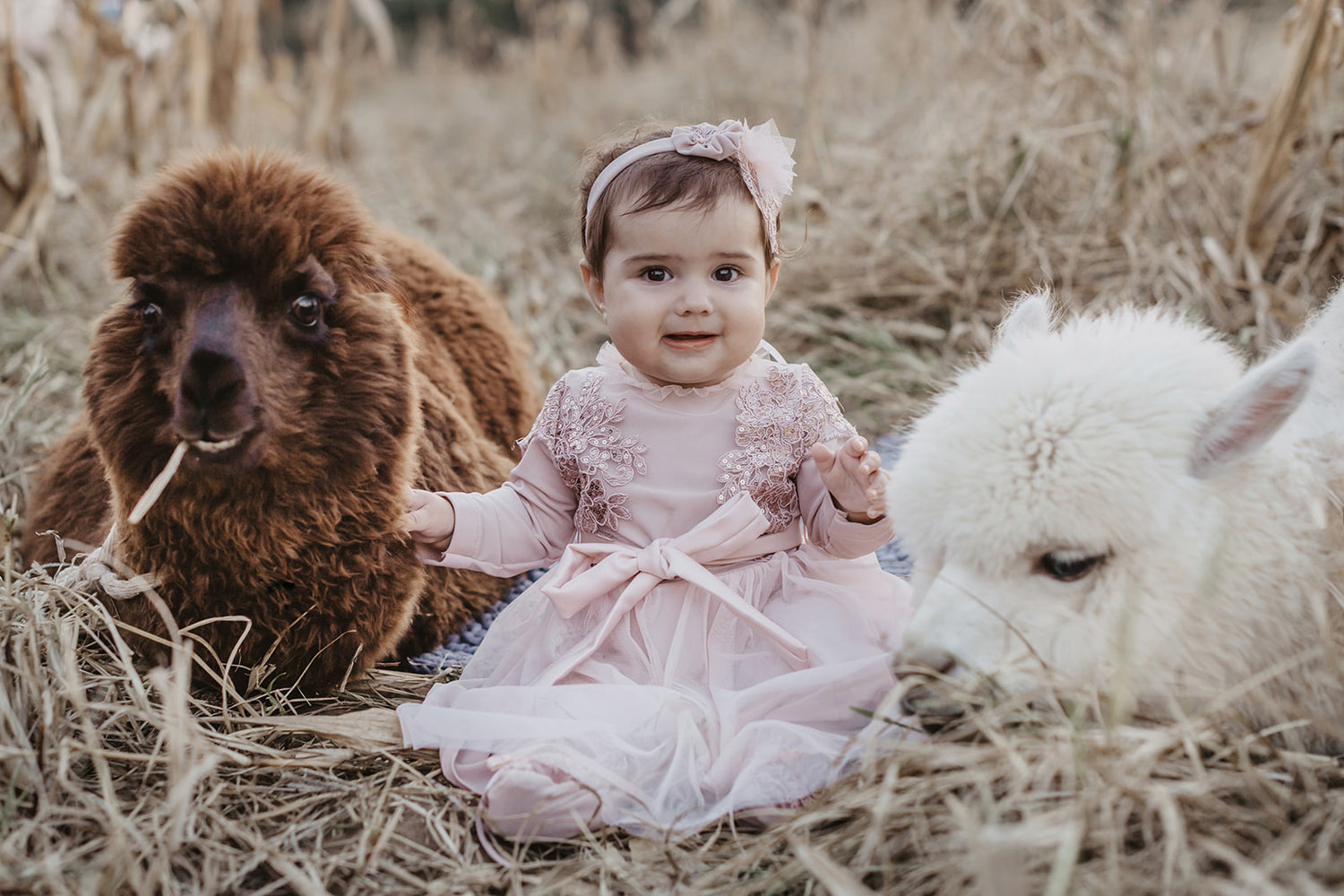 Girls Special Occasion Wear